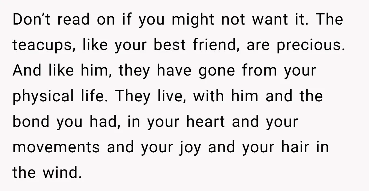 Don’t read on if you might not want it. The teacups, like your best friend, are precious. And like him, they have gone from your physical life. They live, with...