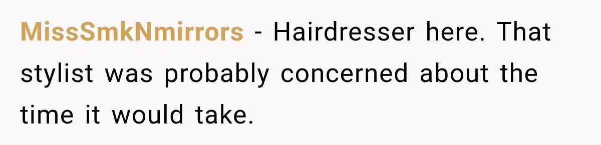 MissSmkNmirrors − Hairdresser here. That stylist was probably concerned about the time it would take.