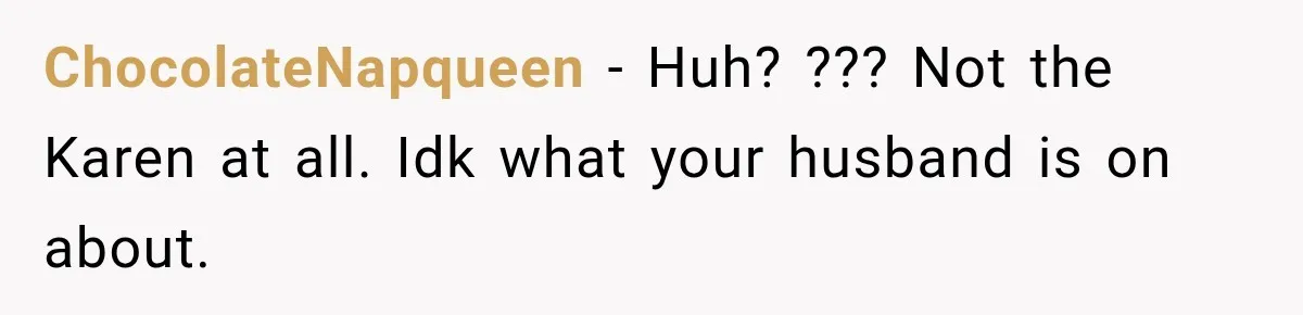 ChocolateNapqueen − Huh? ??? Not the Karen at all. Idk what your husband is on about.