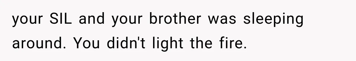 your SIL and your brother was sleeping around. You didn't light the fire.