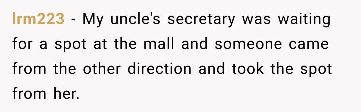 Woman Gets Petty Revenge After a Bad Parker Blocks Her at the Mall for Five Minutes lrm223 − My uncle's secretary was waiting for a spot at the mall and someone came from the other direction and took the spot from her.