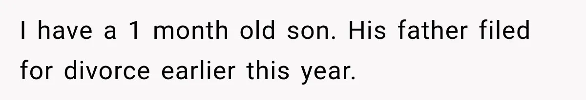 I have a 1 month old son. His father filed for divorce earlier this year.