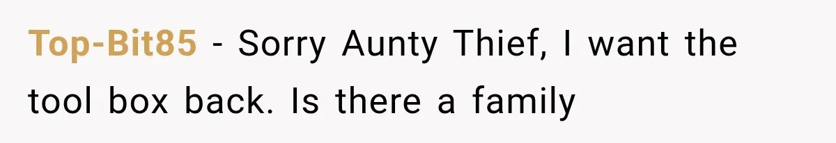 Family Tradition Falls Apart After Aunt Decides Anything That Looks Old Is Apparently Free to Take Top-Bit85 − Sorry Aunty Thief, I want the tool box back. Is there a family
