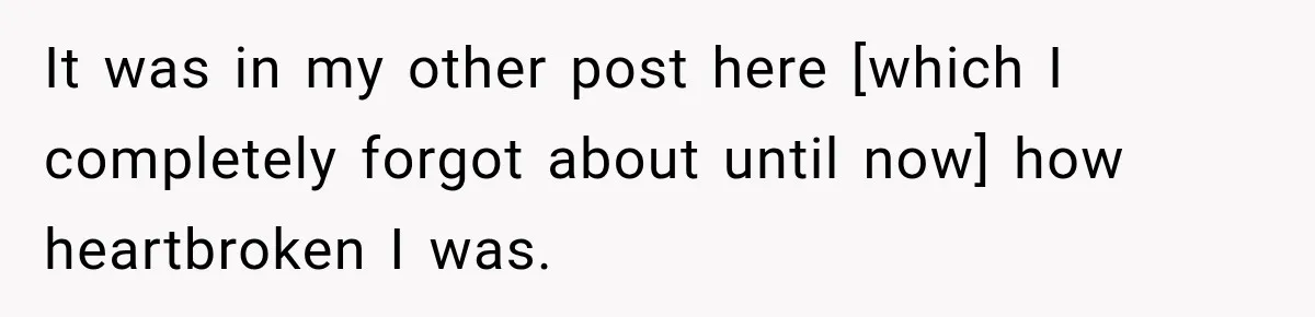 It was in my other post here [which I completely forgot about until now] how heartbroken I was.