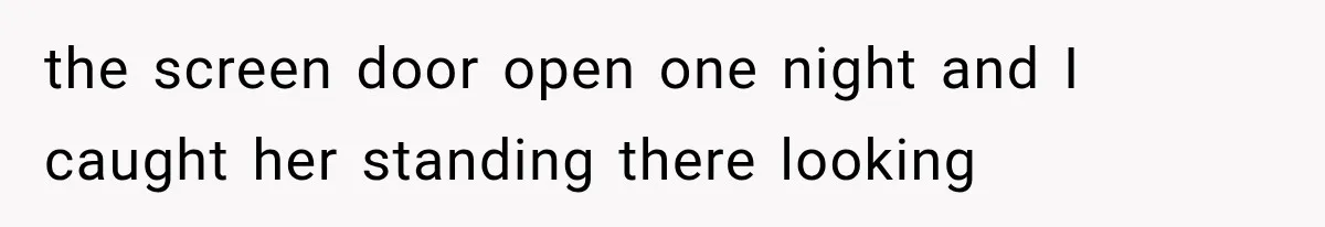 Weekend Guests Ignore House Rules, Scare the Cat, Skip Cleanup, Then Wonder Why the Host Stops Calling the screen door open one night and I caught her standing there looking