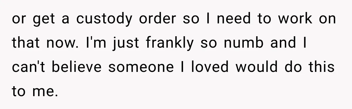 or get a custody order so I need to work on that now. I'm just frankly so numb and I can't believe someone I loved would do this to me.