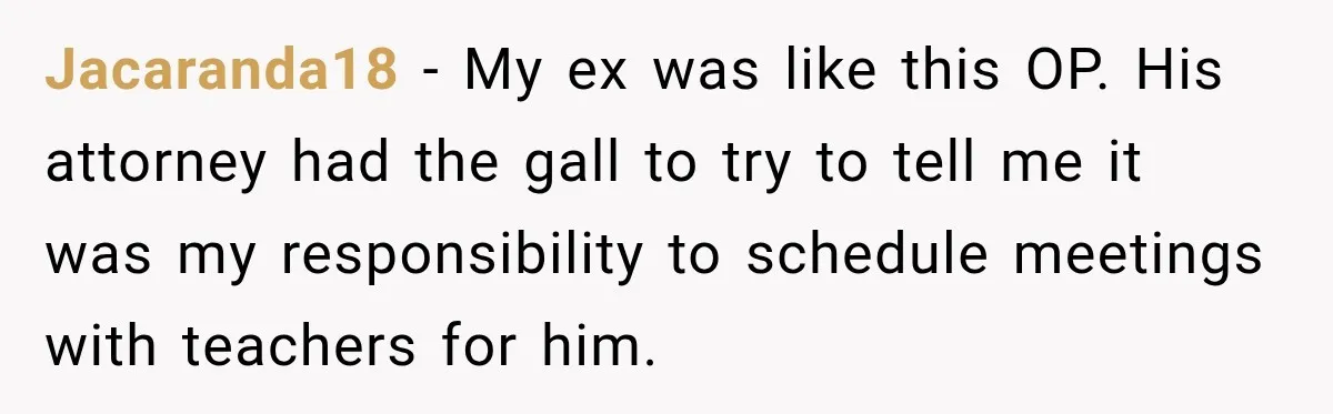 Jacaranda18 − My ex was like this OP. His attorney had the gall to try to tell me it was my responsibility to schedule meetings with teachers for him.