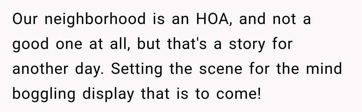 Our neighborhood is an HOA, and not a good one at all, but that's a story for another day. Setting the scene for the mind boggling display that is to...