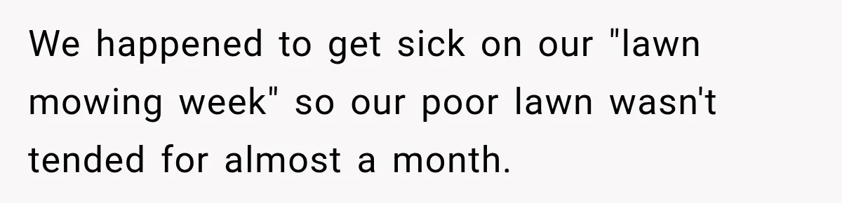 We happened to get sick on our "lawn mowing week" so our poor lawn wasn't tended for almost a month.