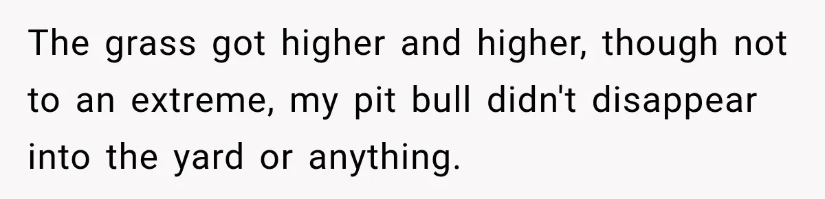 The grass got higher and higher, though not to an extreme, my pit bull didn't disappear into the yard or anything.