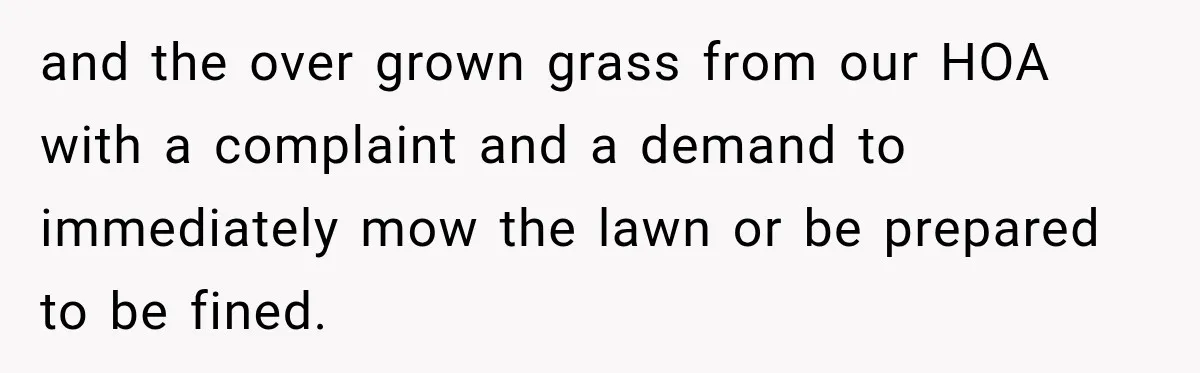 and the over grown grass from our HOA with a complaint and a demand to immediately mow the lawn or be prepared to be fined.