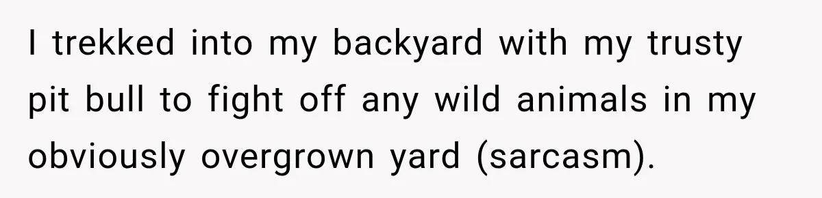 I trekked into my backyard with my trusty pit bull to fight off any wild animals in my obviously overgrown yard (sarcasm).