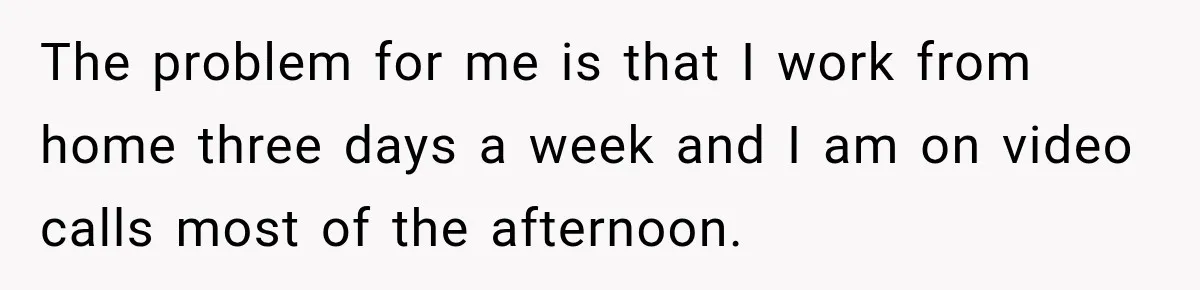 The problem for me is that I work from home three days a week and I am on video calls most of the afternoon.