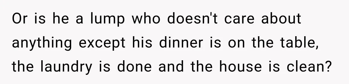 Or is he a lump who doesn't care about anything except his dinner is on the table, the laundry is done and the house is clean?