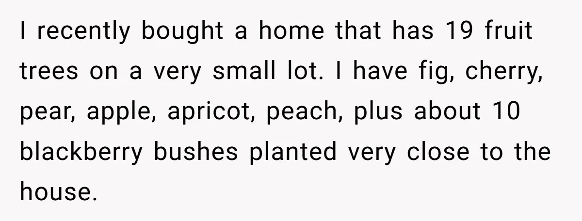 I recently bought a home that has 19 fruit trees on a very small lot. I have fig, cherry, pear, apple, apricot, peach, plus about 10 blackberry bushes planted very...