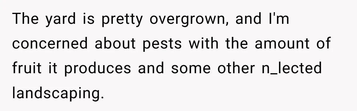 The yard is pretty overgrown, and I'm concerned about pests with the amount of fruit it produces and some other n_lected landscaping.