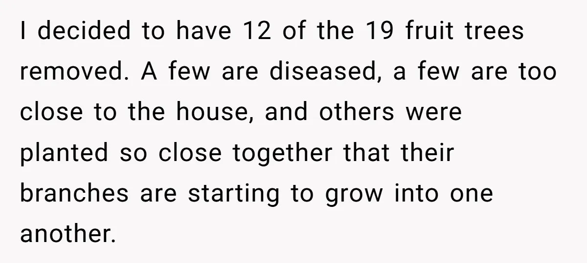 I decided to have 12 of the 19 fruit trees removed. A few are diseased, a few are too close to the house, and others were planted so close together...
