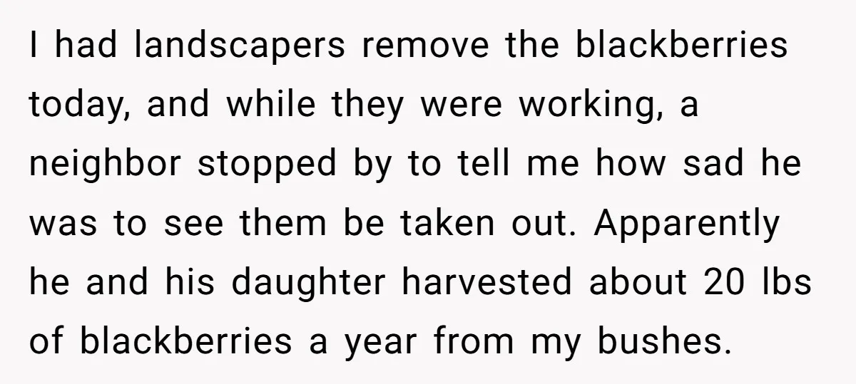 I had landscapers remove the blackberries today, and while they were working, a neighbor stopped by to tell me how sad he was to see them be taken out. Apparently...