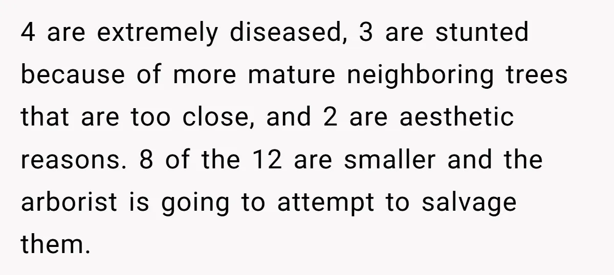 4 are extremely diseased, 3 are stunted because of more mature neighboring trees that are too close, and 2 are aesthetic reasons. 8 of the 12 are smaller and the...
