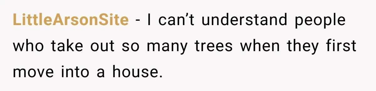 LittleArsonSite − I can’t understand people who take out so many trees when they first move into a house.