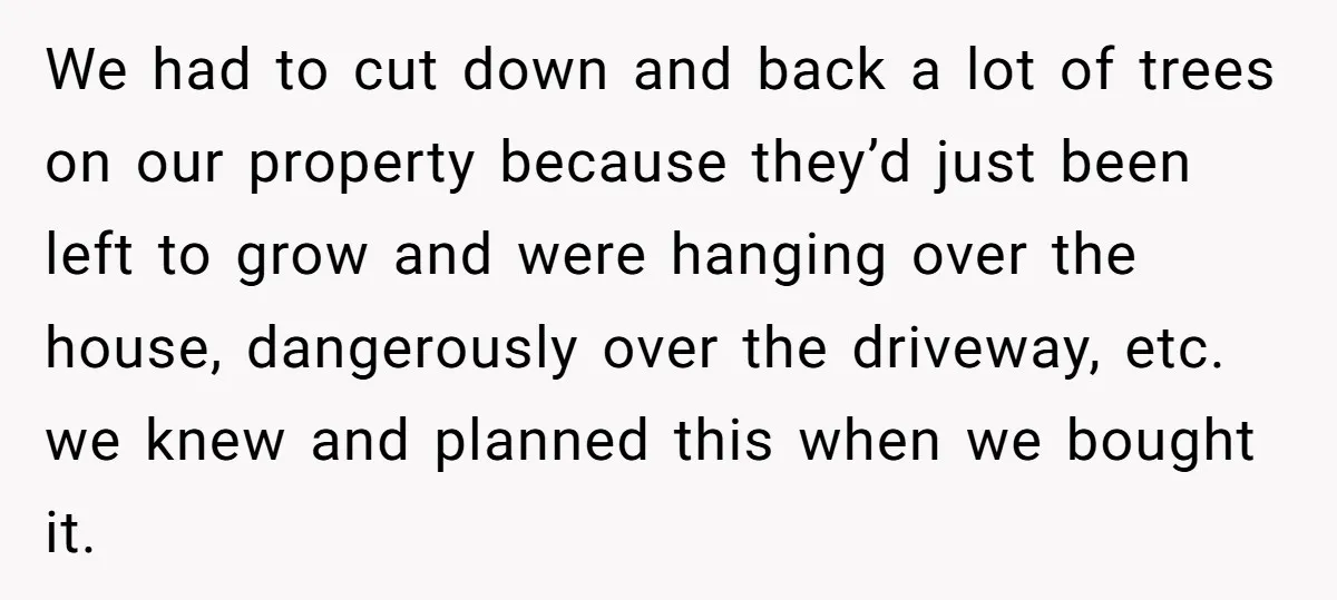 We had to cut down and back a lot of trees on our property because they’d just been left to grow and were hanging over the house, dangerously over the...