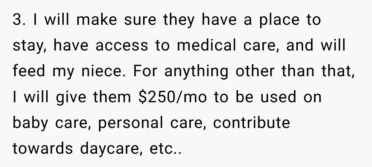3. I will make sure they have a place to stay, have access to medical care, and will feed my niece. For anything other than that, I will give them...