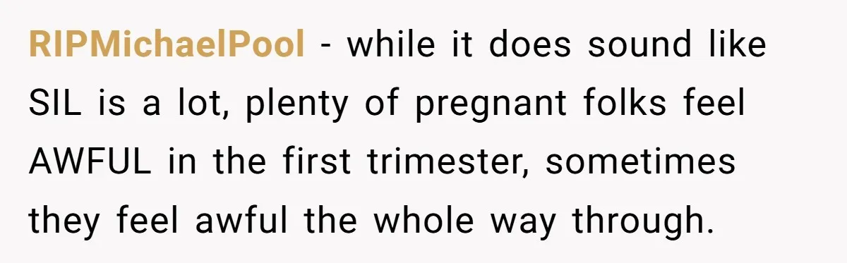 RIPMichaelPool − while it does sound like SIL is a lot, plenty of pregnant folks feel AWFUL in the first trimester, sometimes they feel awful the whole way through.