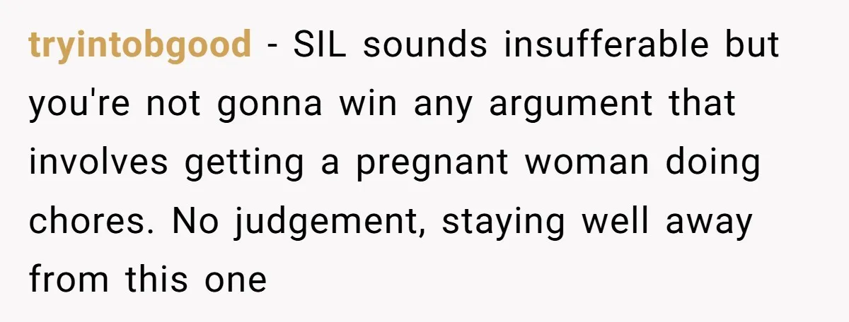 tryintobgood − SIL sounds insufferable but you're not gonna win any argument that involves getting a pregnant woman doing chores. No judgement, staying well away from this one