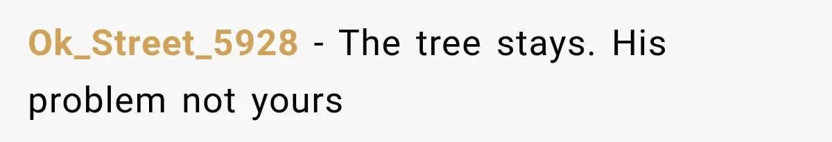 Ok_Street_5928 − The tree stays. His problem not yours