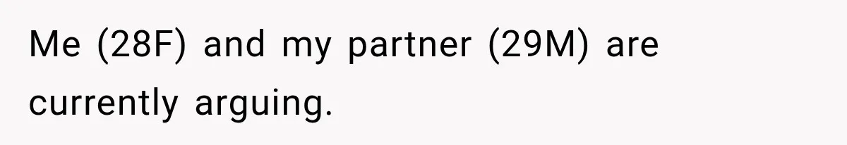 Me (28F) and my partner (29M) are currently arguing.