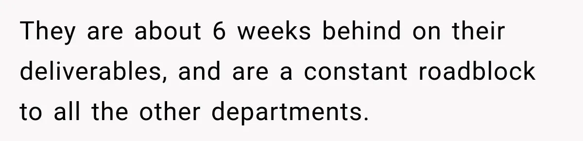 They are about 6 weeks behind on their deliverables, and are a constant roadblock to all the other departments.