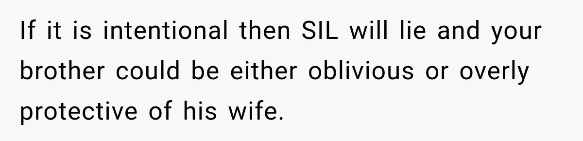 If it is intentional then SIL will lie and your brother could be either oblivious or overly protective of his wife.