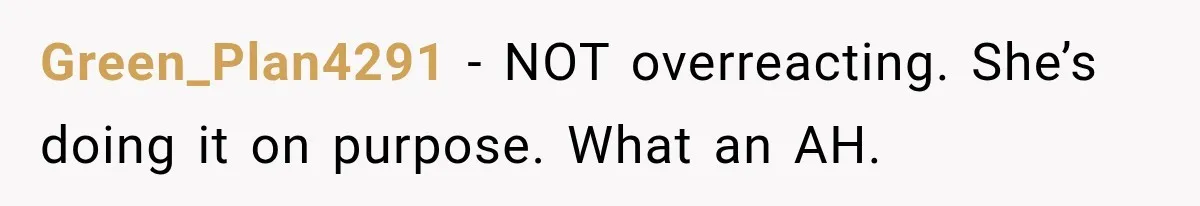 Green_Plan4291 − NOT overreacting. She’s doing it on purpose. What an AH.