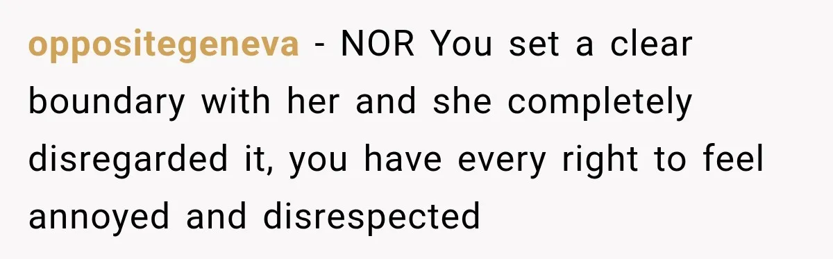 oppositegeneva − NOR You set a clear boundary with her and she completely disregarded it, you have every right to feel annoyed and disrespected