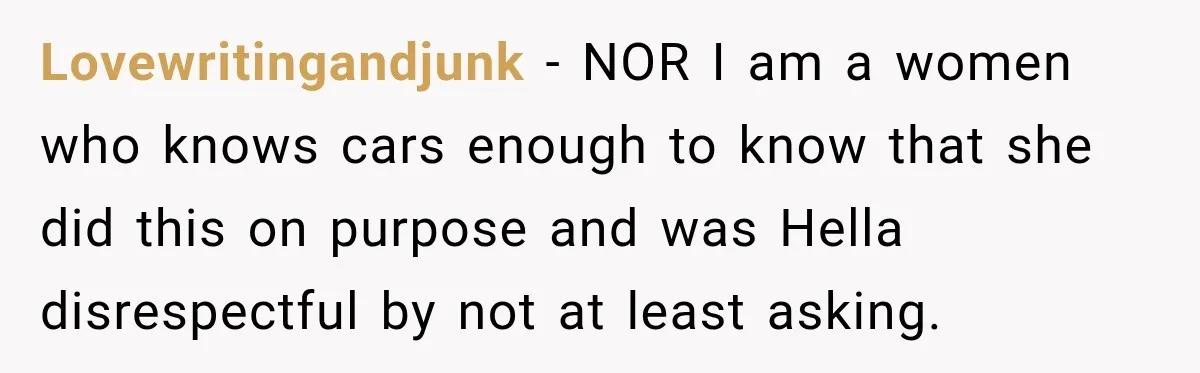 Lovewritingandjunk − NOR I am a women who knows cars enough to know that she did this on purpose and was Hella disrespectful by not at least asking.