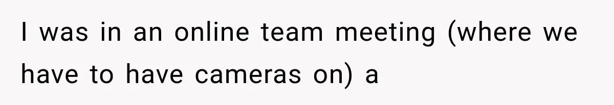 I was in an online team meeting (where we have to have cameras on) a