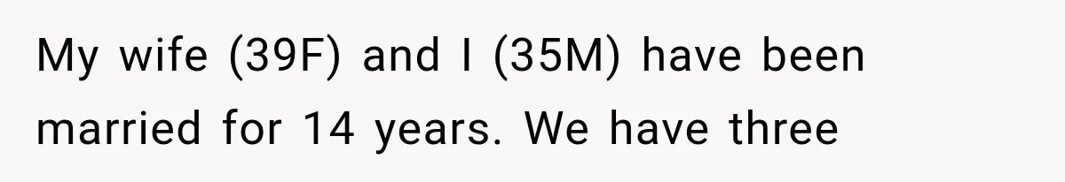 My wife (39F) and I (35M) have been married for 14 years. We have three
