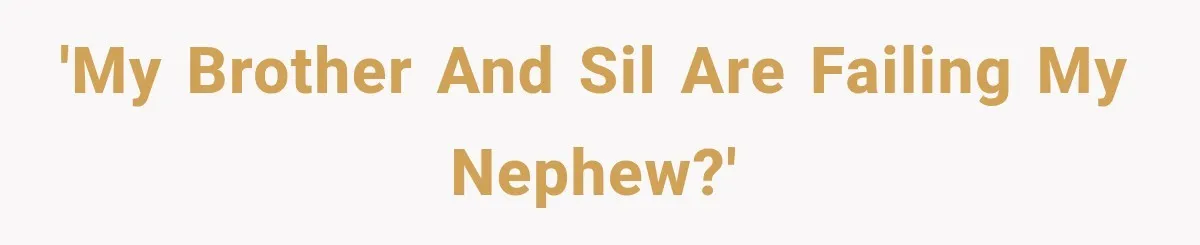 'My Brother and SIL are failing my nephew?'