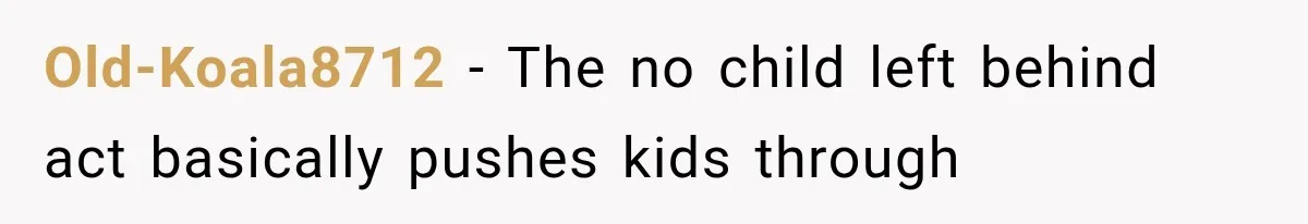 Old-Koala8712 − The no child left behind act basically pushes kids through