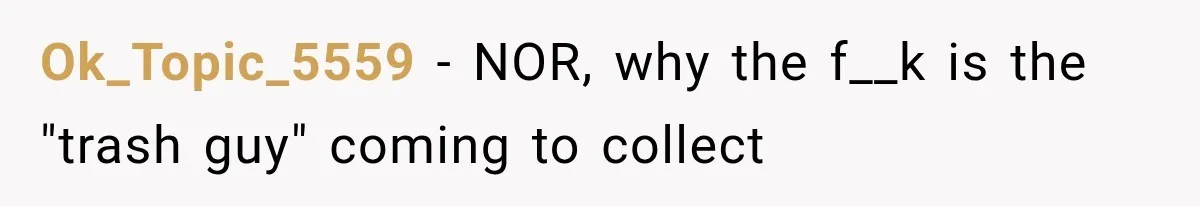 Ok_Topic_5559 − NOR, why the f__k is the "trash guy" coming to collect