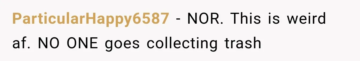 ParticularHappy6587 − NOR. This is weird af. NO ONE goes collecting trash