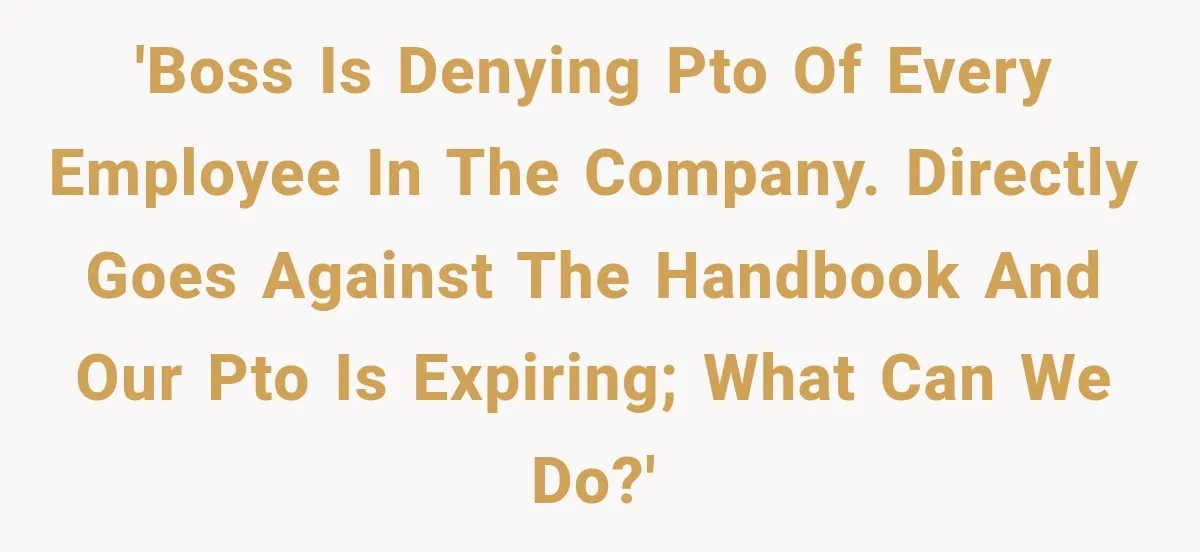 New Boss “Changes the Rules” and Denies Every PTO Request, Then Lets the Entire Team’s Vacation Days Expire 'Boss is denying PTO of every employee in the company. Directly goes against the handbook and our PTO is expiring; what can we do?'