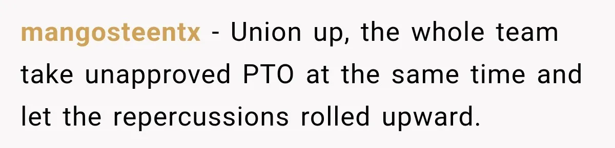 New Boss “Changes the Rules” and Denies Every PTO Request, Then Lets the Entire Team’s Vacation Days Expire mangosteentx − Union up, the whole team take unapproved PTO at the same time and let the repercussions rolled upward.