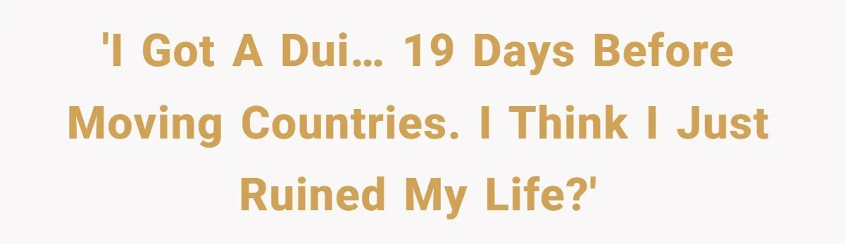 'I got a dui… 19 days before moving countries. i think i just ruined my life?'