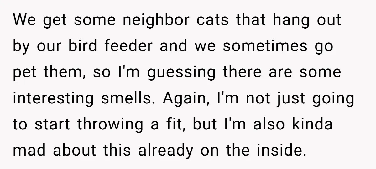 We get some neighbor cats that hang out by our bird feeder and we sometimes go pet them, so I'm guessing there are some interesting smells. Again, I'm not just...