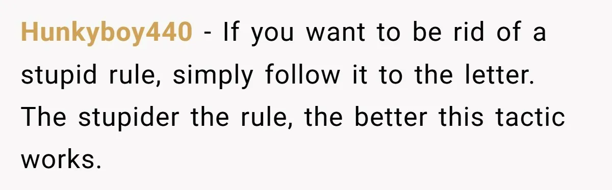 Hunkyboy440 − If you want to be rid of a stupid rule, simply follow it to the letter. The stupider the rule, the better this tactic works.