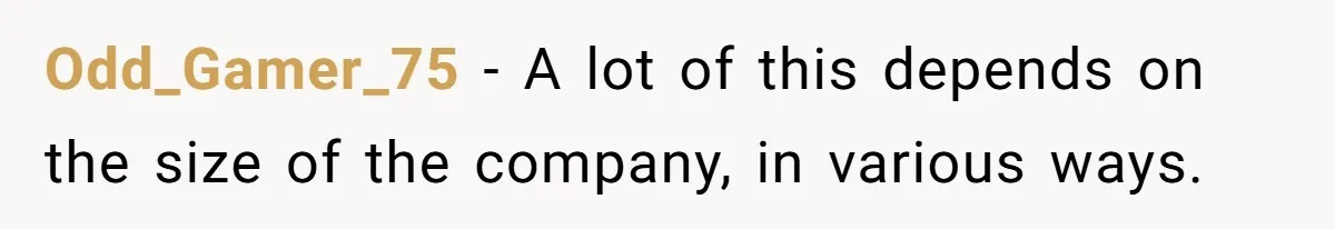 Odd_Gamer_75 − A lot of this depends on the size of the company, in various ways.