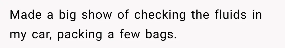 Made a big show of checking the fluids in my car, packing a few bags.
