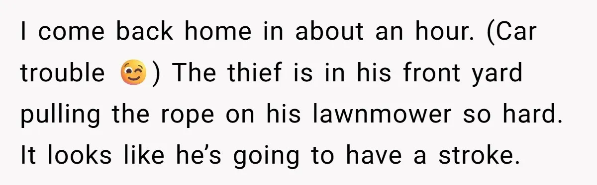 I come back home in about an hour. (Car trouble 😉) The thief is in his front yard pulling the rope on his lawnmower so hard. It looks like he’s...