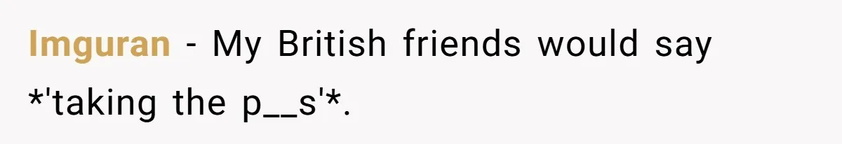 Imguran − My British friends would say *'taking the p__s'*.